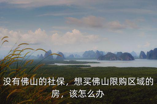 不在佛山工作想在佛山買房怎么辦,外地人想在佛山買房