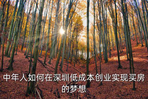 中年人如何在深圳低成本創(chuàng)業(yè)實(shí)現(xiàn)買(mǎi)房的夢(mèng)想