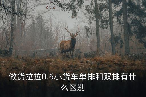 做貨拉拉0.6小貨車單排和雙排有什么區別