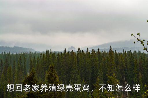 想回老家養殖綠殼蛋雞，不知怎么樣