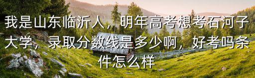 石河子大學山東二本分數線是多少,我是山東臨沂人