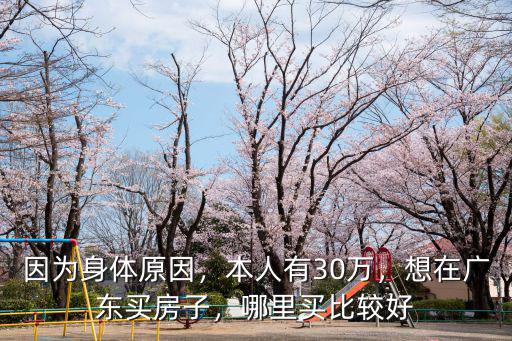 因?yàn)樯眢w原因，本人有30萬，想在廣東買房子，哪里買比較好