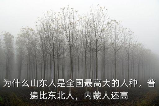 為什么山東人是全國最高大的人種，普遍比東北人，內蒙人還高