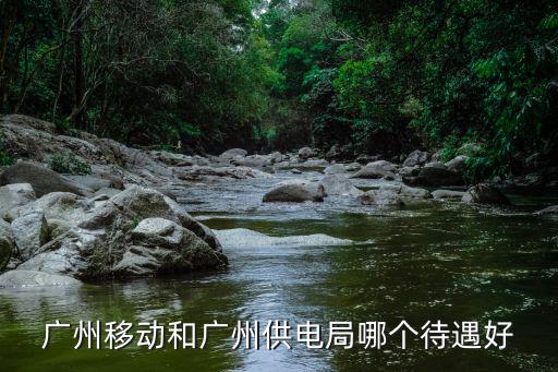 廣州南方電網電力有限公司待遇怎么樣,貴陽南方電網工資待遇怎么樣