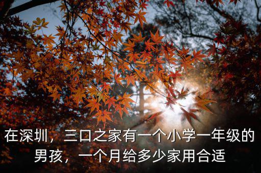 在深圳，三口之家有一個小學一年級的男孩，一個月給多少家用合適