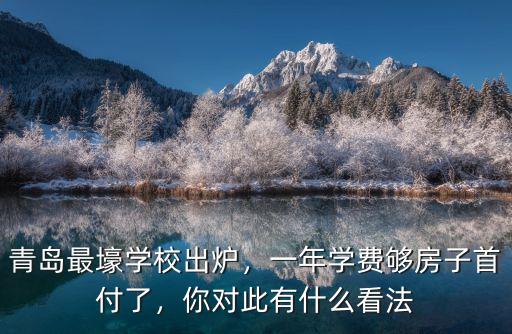 青島國學學校一般學費多少,一年學費夠房子首付了