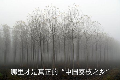 荔枝主要產(chǎn)地在廣東省哪里,哪里才是真正的中國荔枝之鄉(xiāng)