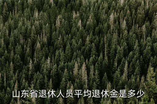 山東省退休人員平均退休金是多少