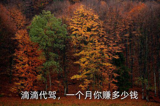 滴滴代駕，一個(gè)月你賺多少錢