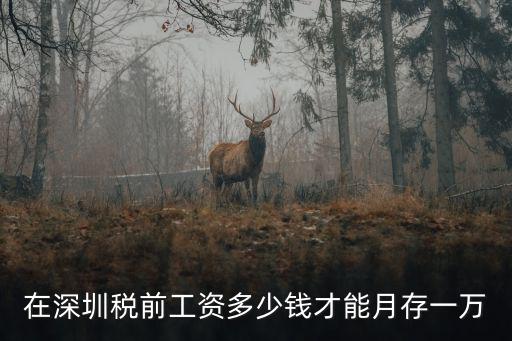 在深圳工資稅前1萬稅后能拿多少,在深圳稅后工1萬