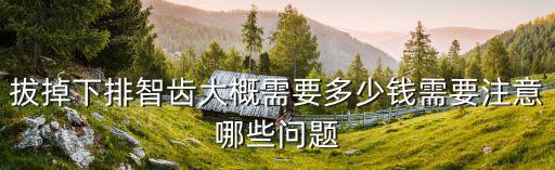 拔掉下排智齒大概需要多少錢需要注意哪些問題