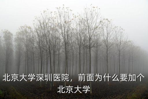 北京大學(xué)深圳醫(yī)院隆鼻多少錢(qián),北京大學(xué)深圳醫(yī)院