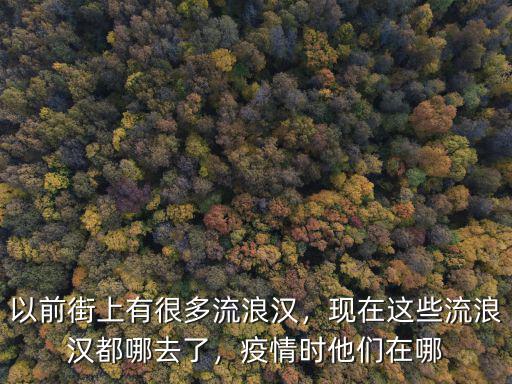 以前街上有很多流浪漢，現在這些流浪漢都哪去了，疫情時他們在哪