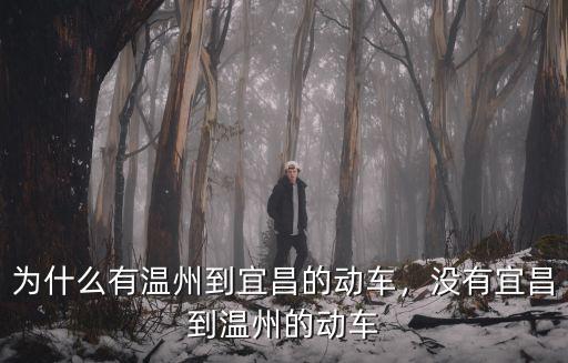 溫州一宜昌的動(dòng)車票價(jià)是多少,為什么有溫州到宜昌的動(dòng)車