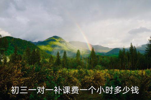 初三一對一補課費一個小時多少錢