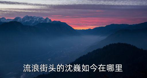 流浪街頭的沈巍如今在哪里