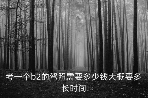 紹興拿駕照多少錢一個(gè)月,考一個(gè)b2的駕照需要多少錢