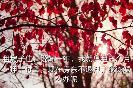 深圳房東不退押怎么辦,遭遇房東不退回押金該怎么辦