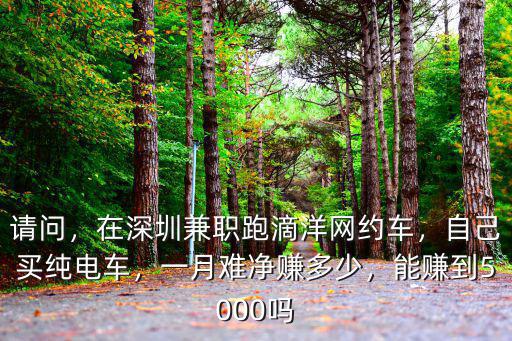在深圳開(kāi)滴滴一個(gè)能賺多少錢(qián),跑滴滴一個(gè)月能賺多少