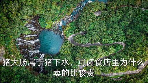 潮州哪里有生豬大腸賣,豬大腸屬于豬下水