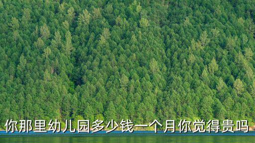 深圳金生幼兒園學費一個月多少錢,你那里幼兒園多少錢一個月