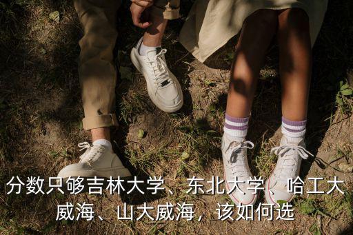 分數只夠吉林大學、東北大學、哈工大威海、山大威海，該如何選