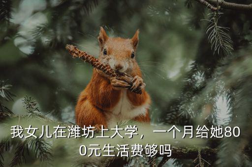 我女兒在濰坊上大學，一個月給她800元生活費夠嗎