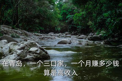 青島寶媽一個月收入多少錢,在青島一個月工資4500元