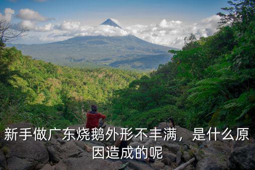 廣東做燒鵝怎么樣,新手做廣東燒鵝外形不豐滿