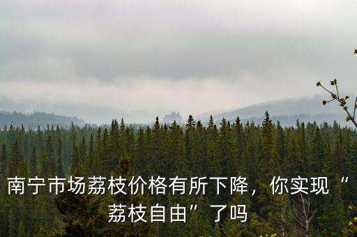 南寧市場(chǎng)荔枝價(jià)格有所下降，你實(shí)現(xiàn)“荔枝自由”了嗎