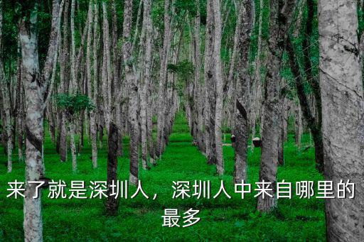 來了就是深圳人，深圳人中來自哪里的最多