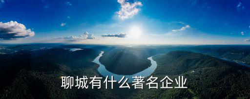 聊城有什么著名企業