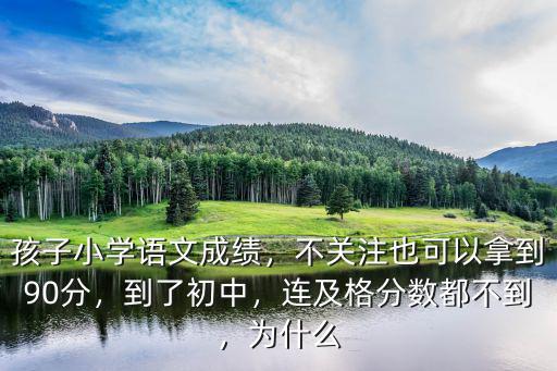 佛山小學語文滿分多少,孩子小學語文成績