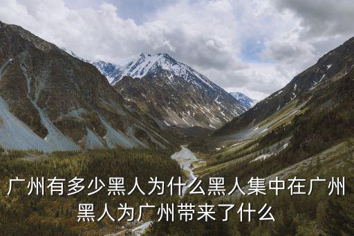 廣州有多少黑人為什么黑人集中在廣州黑人為廣州帶來了什么