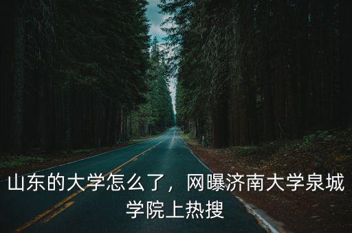 濟南大學泉城學院重修要多少錢,網曝濟南大學泉城學院上熱搜