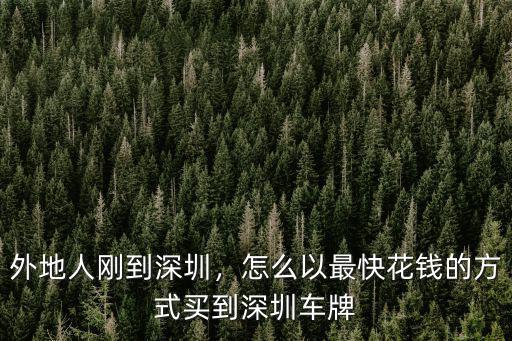 外籍人怎么辦深圳車牌,外地人剛到深圳