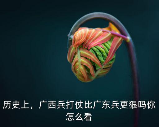 民國時廣東有多少兵,奉系軍閥有多少兵力