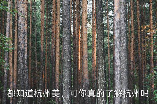 杭州西湖景區美的雨傘多少錢,杭州西湖的景色究竟美在哪里