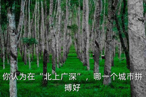 城市情報(bào)員深圳哪里好,深圳到底哪里好