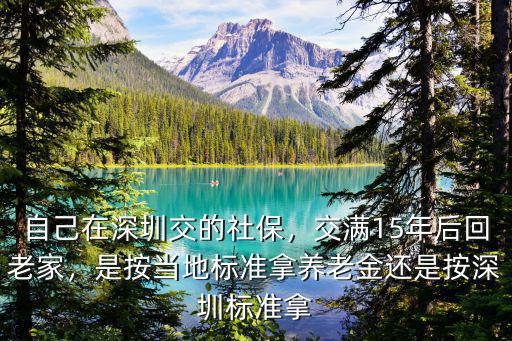 深圳社保交了15年怎么辦,自己在深圳交的社保