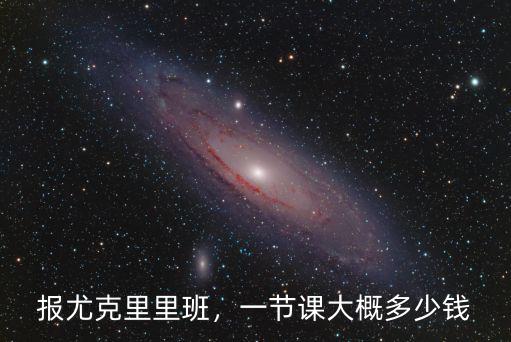 報尤克里里班，一節課大概多少錢