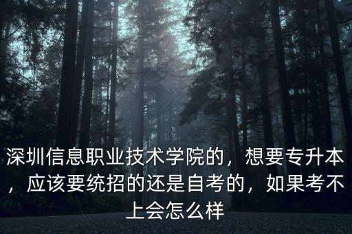 深圳中職學校怎么報考深圳信息學院,深圳有什么比較好的職校嗎