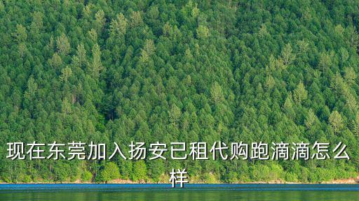 東莞哪里跑滴滴好,在東莞跑滴滴發展前景咋樣