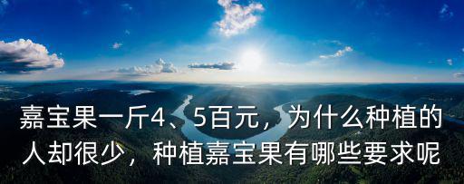 廣東哪里種有嘉寶果,種植嘉寶果有哪些要求呢