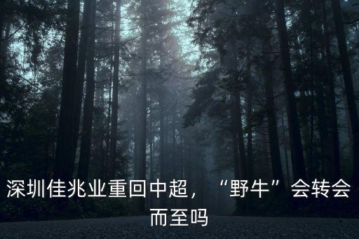 中超沒有深圳會怎么樣,深圳佳兆業重回中超