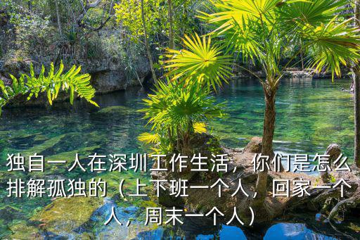 獨(dú)自一人在深圳工作生活，你們是怎么排解孤獨(dú)的（上下班一個人，回家一個人，周末一個人）