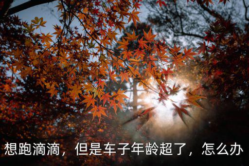 廣州跑滴滴怎么申請營運證,跑滴滴怎么辦理