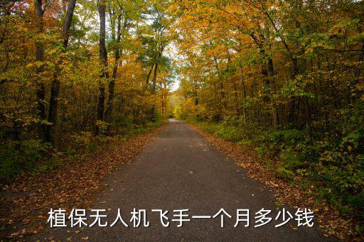 珠海羽人植保無人機多少錢,植保無人機多少錢合適