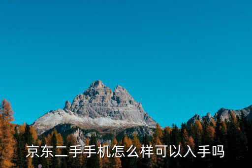 拍拍深圳驗機怎么樣,京東二手手機怎么樣