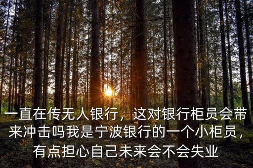 寧波銀行柜員一般多少錢,我是寧波銀行的一個小柜員